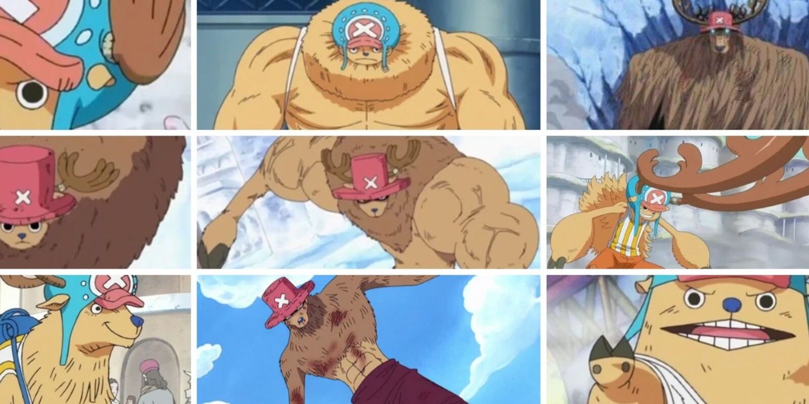 One Piece: The Rumble Balls, Explained