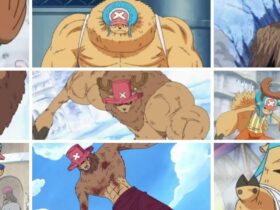 One Piece: The Rumble Balls, Explained