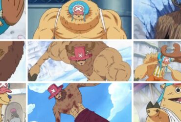 One Piece: The Rumble Balls, Explained