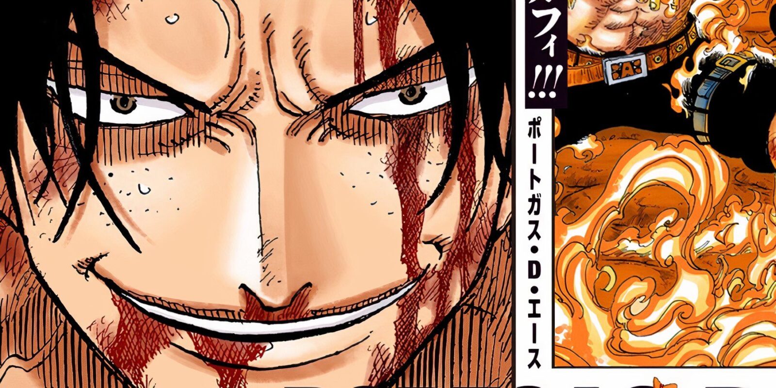 One Piece To Release A Book About Ace's Whole Life Supervised By Oda Himself 