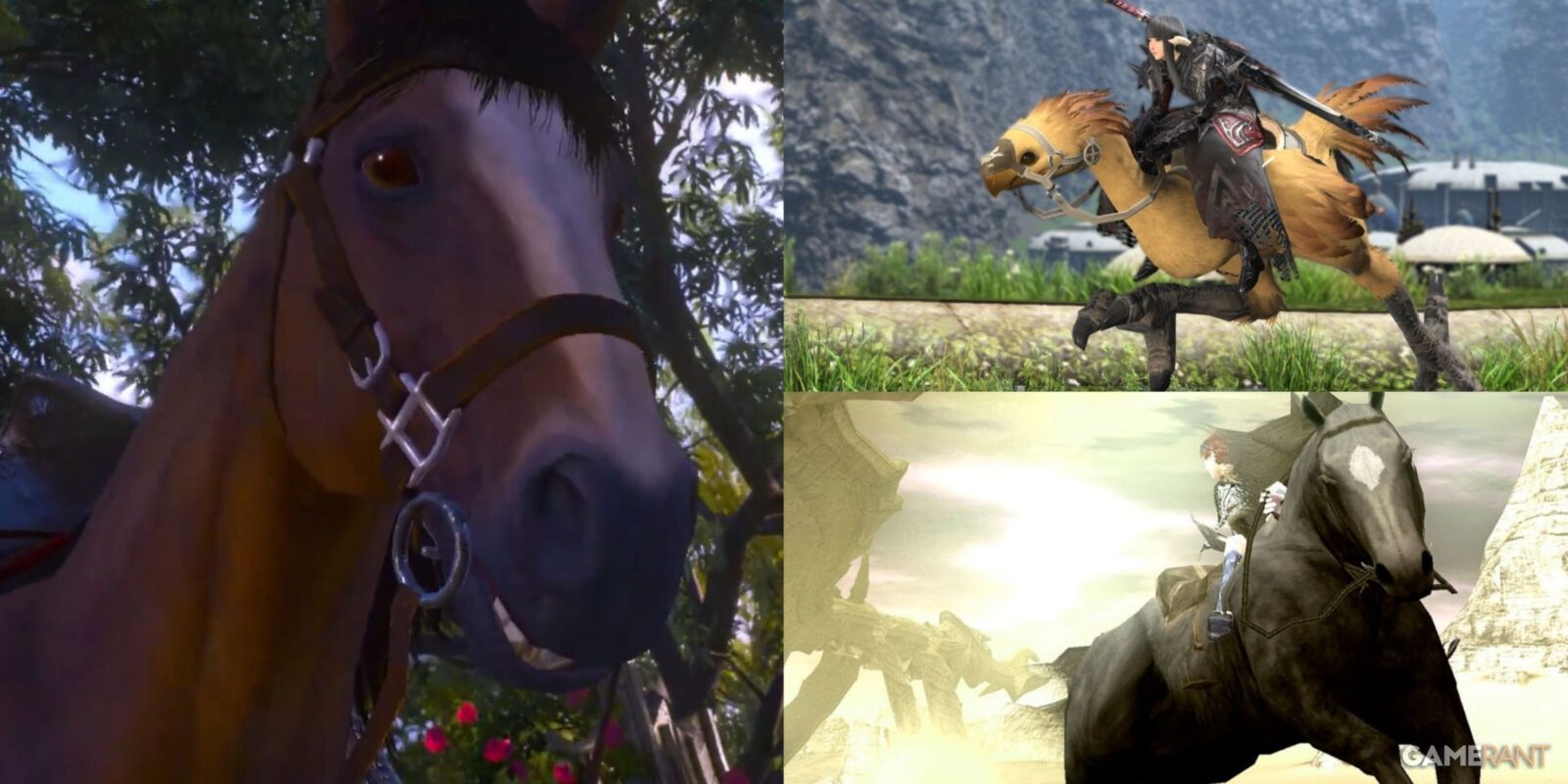 Open-World Games Where Your Mount Has Its Own Personality