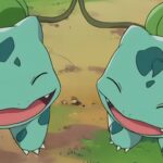 Pokemon Fan Shows Off Adorable Bulbasaur-Themed Valentine's Day Gift