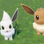 Pokemon Releases New Eevee Kitchen Goods