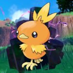 Pokemon Scarlet and Violet Players Notice Interesting Torchic Detail