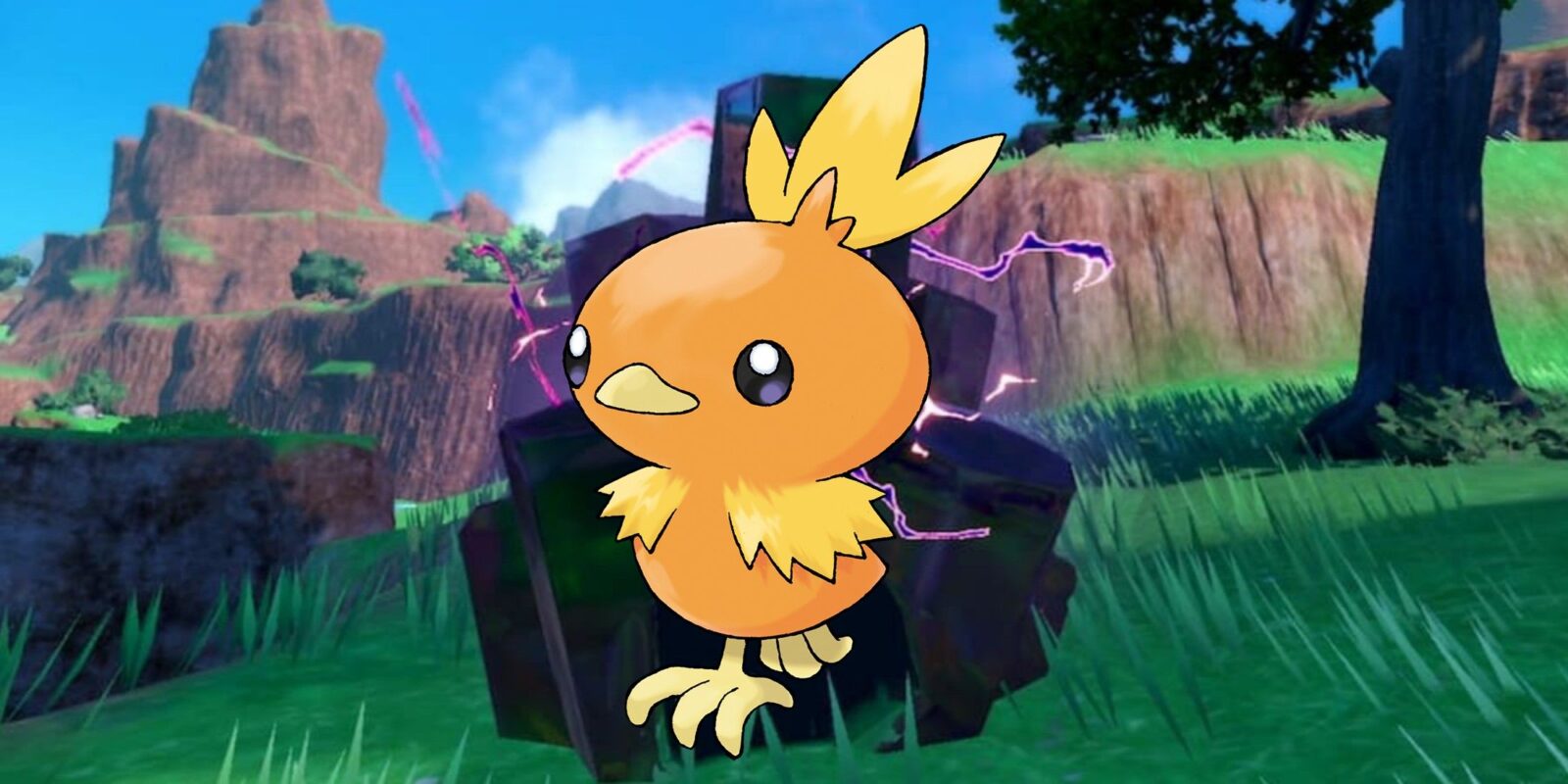 Pokemon Scarlet and Violet Players Notice Interesting Torchic Detail