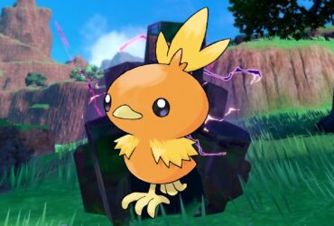 Pokemon Scarlet and Violet Players Notice Interesting Torchic Detail