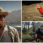 Red Dead Redemption 2: Chapter 5's Missable Content