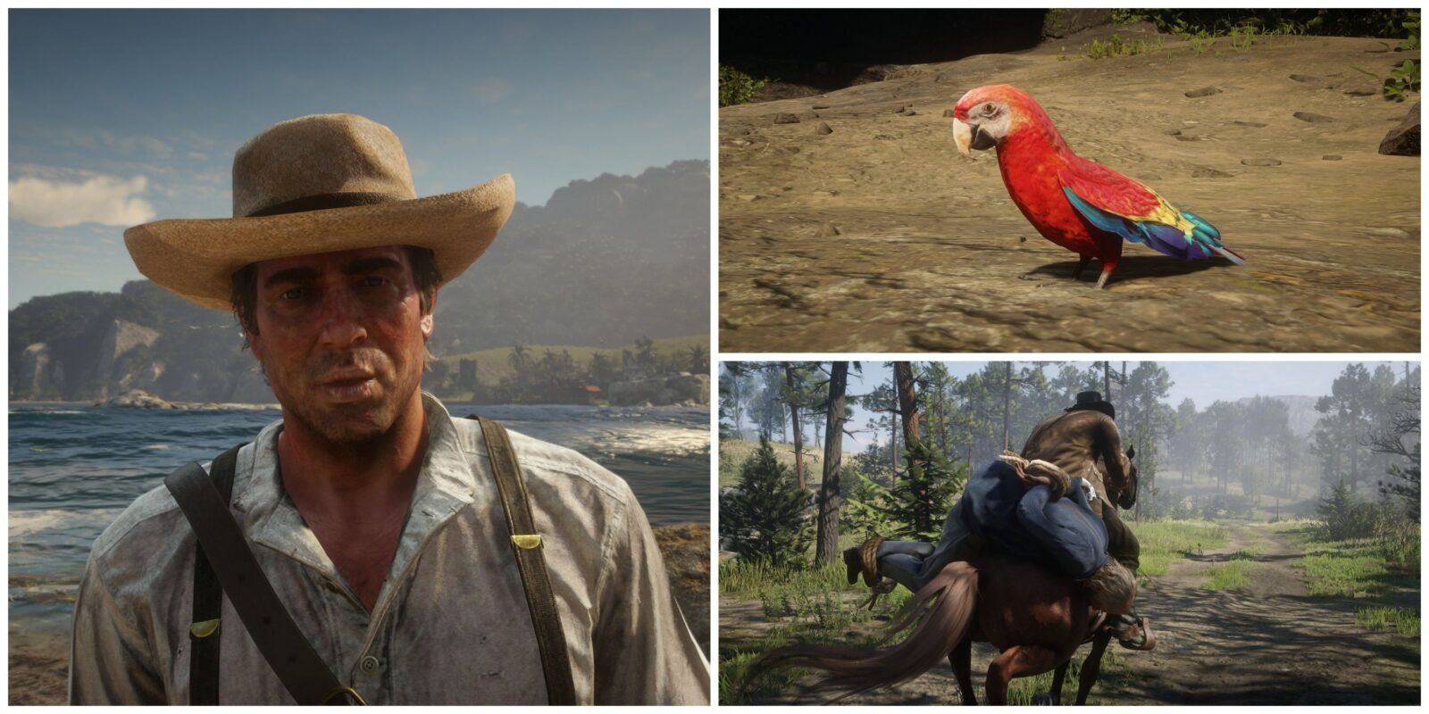 Red Dead Redemption 2: Chapter 5's Missable Content