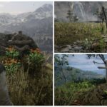 Red Dead Redemption 2: Every Grave Location