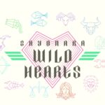 Sayonara Wild Hearts Zodiac Riddle Solutions