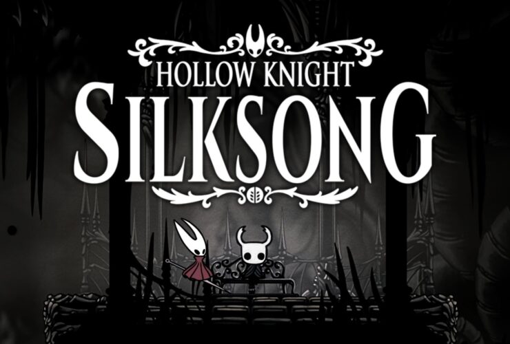 Silksong's Title Raises One Question for the Franchise