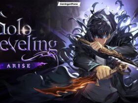 Solo Leveling ARISE class types