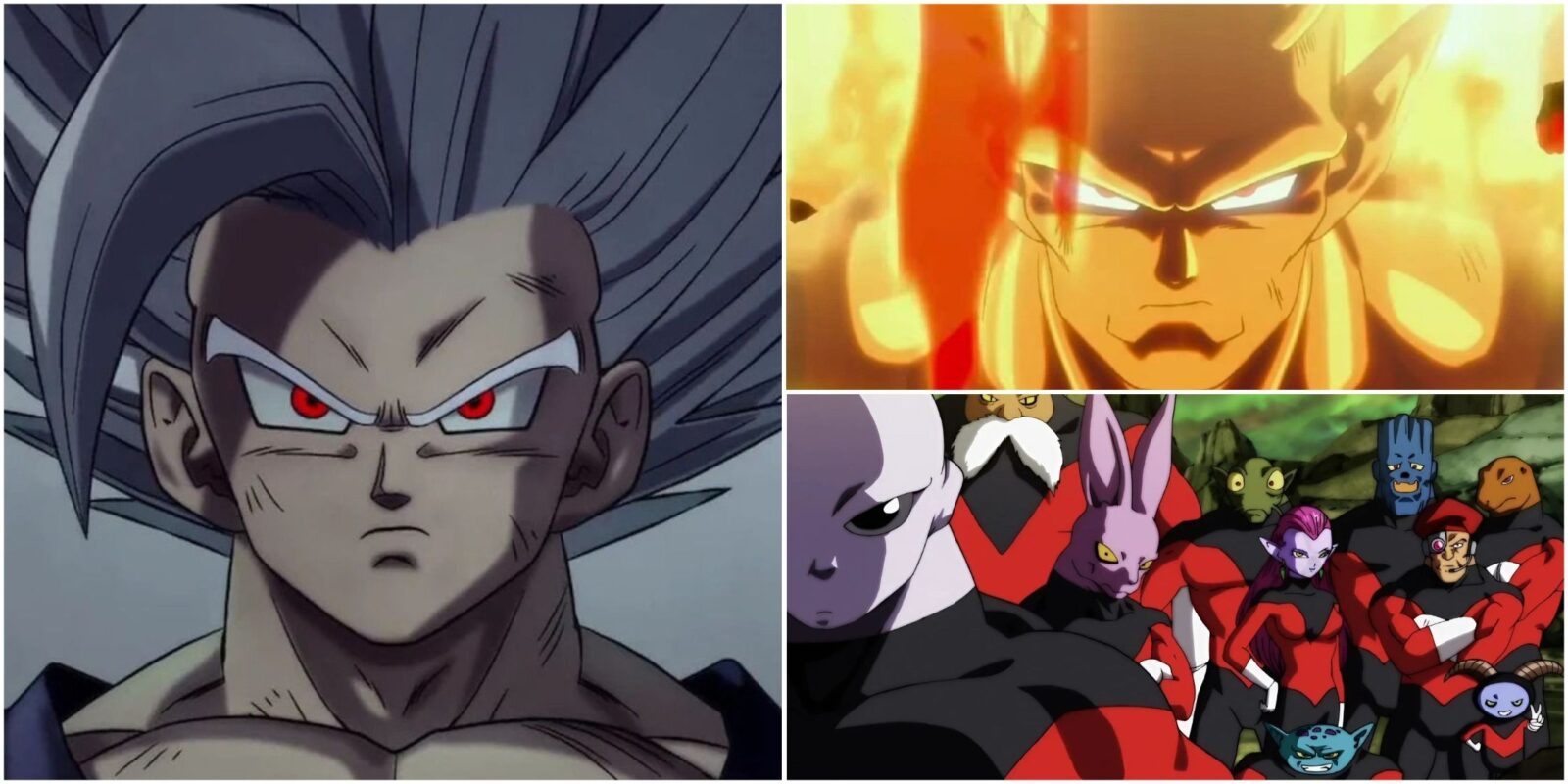 Strongest Dragon Ball Characters That Never Fought Vegeta