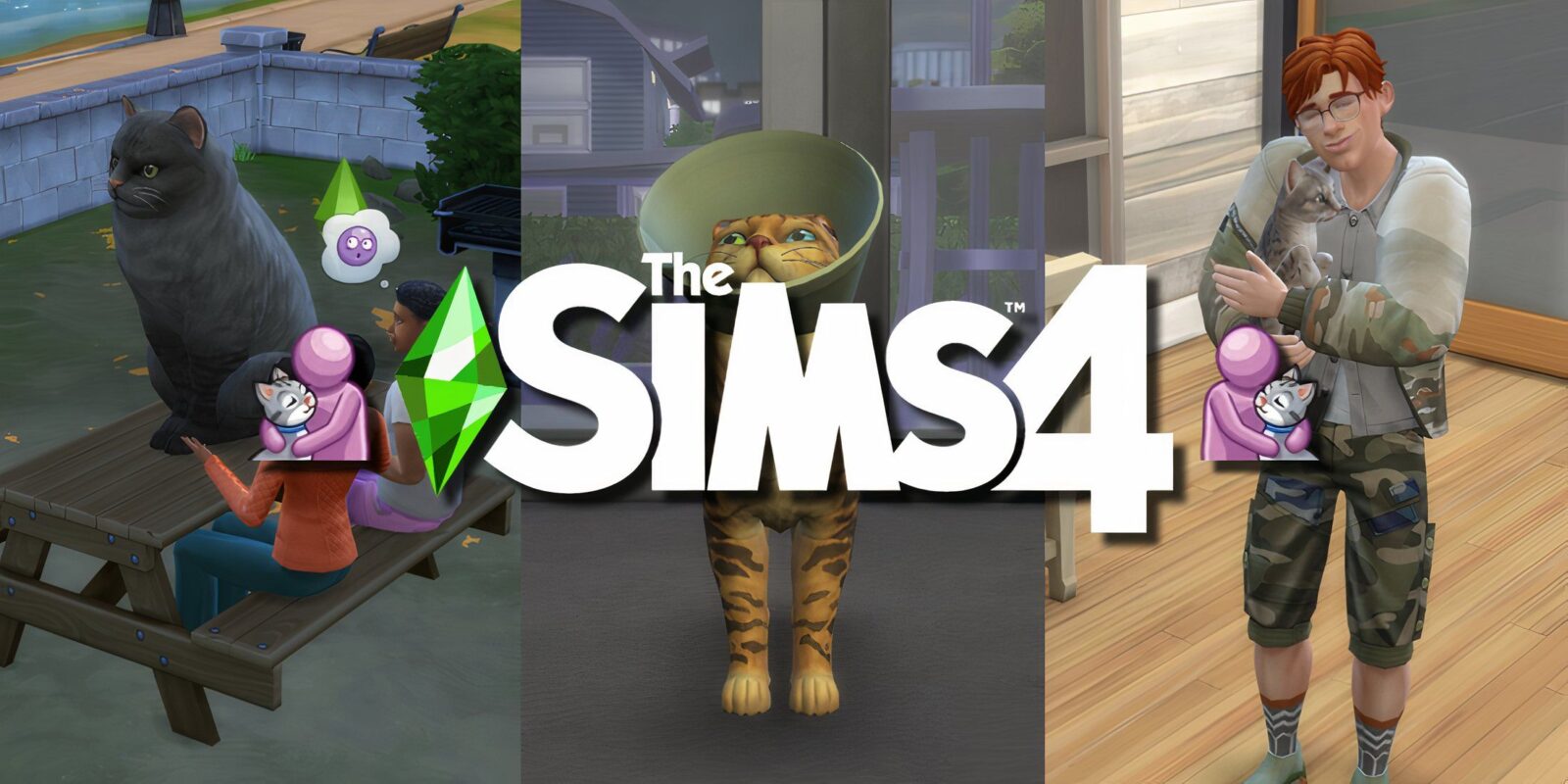 The Best Mods For Cats In The Sims 4