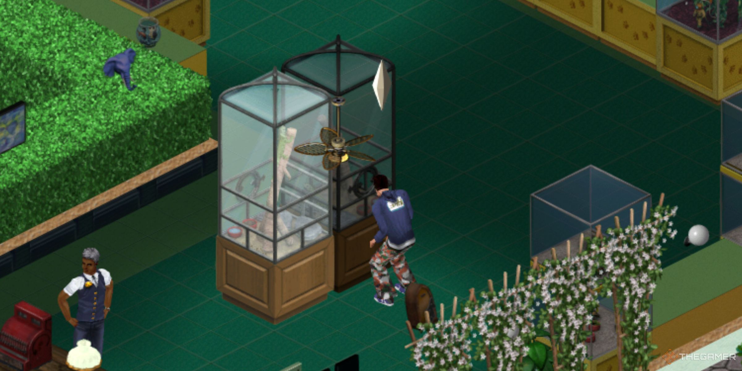 A Sim Browsing Iguanas Inside The Pet Paradise Store In The Sims Legacy Collection.