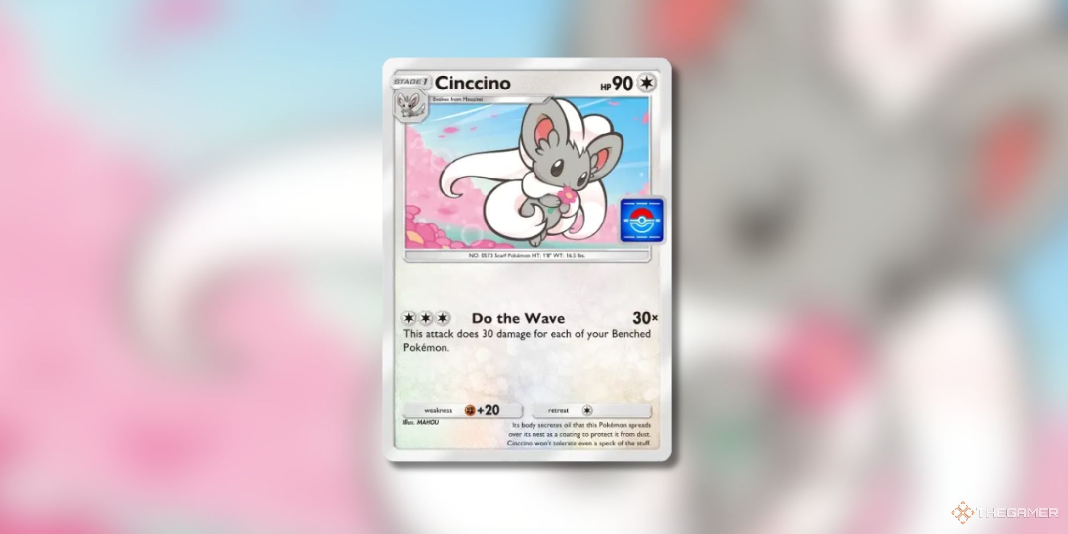 Pokemon Trading Card Game Pocket Cinccino promo-a card number 31 on a blurred background.