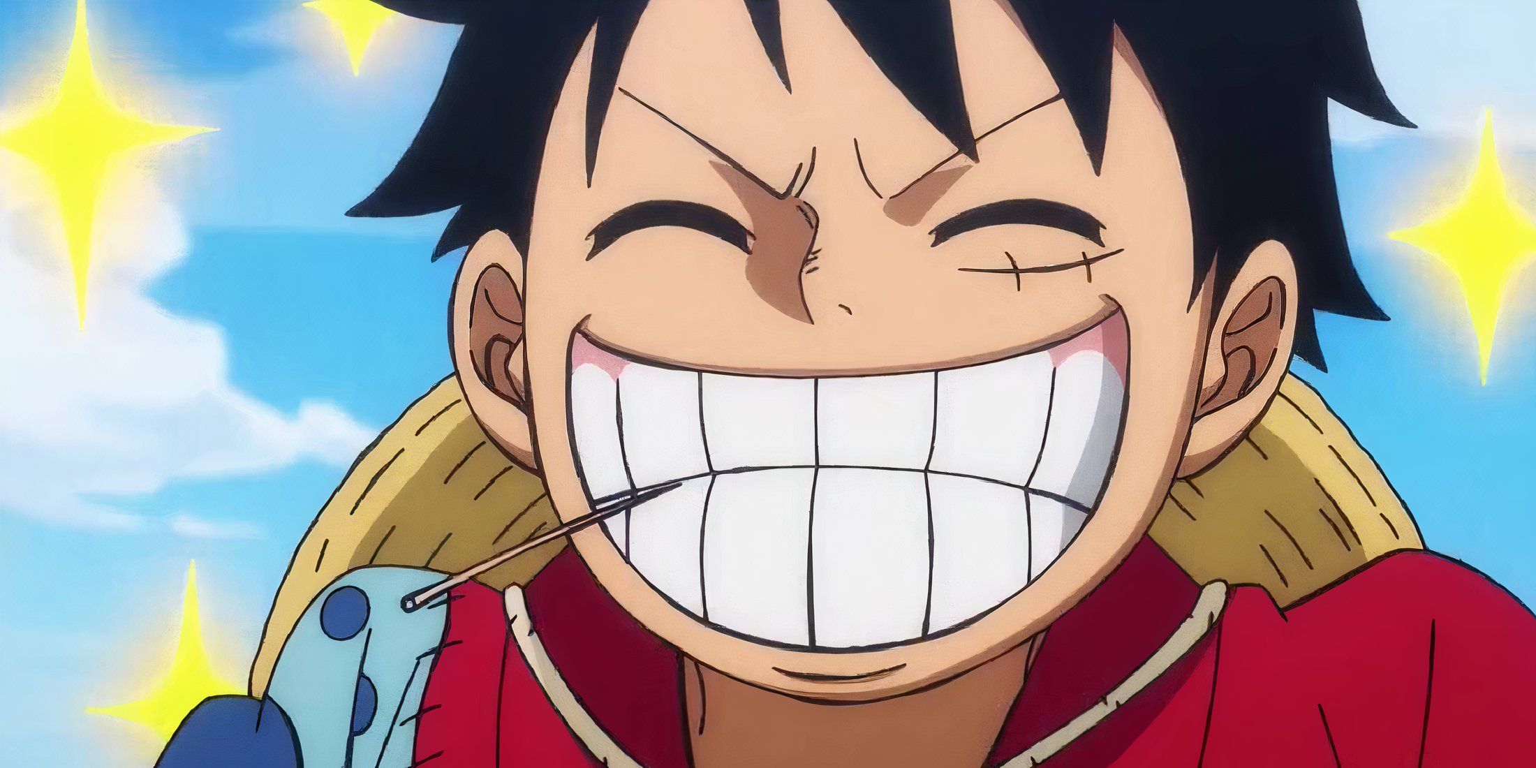 Luffy Excited One Piece