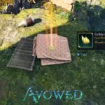 The Golden Flames Totem Fragment Location In Avowed