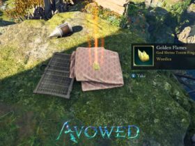 The Golden Flames Totem Fragment Location In Avowed