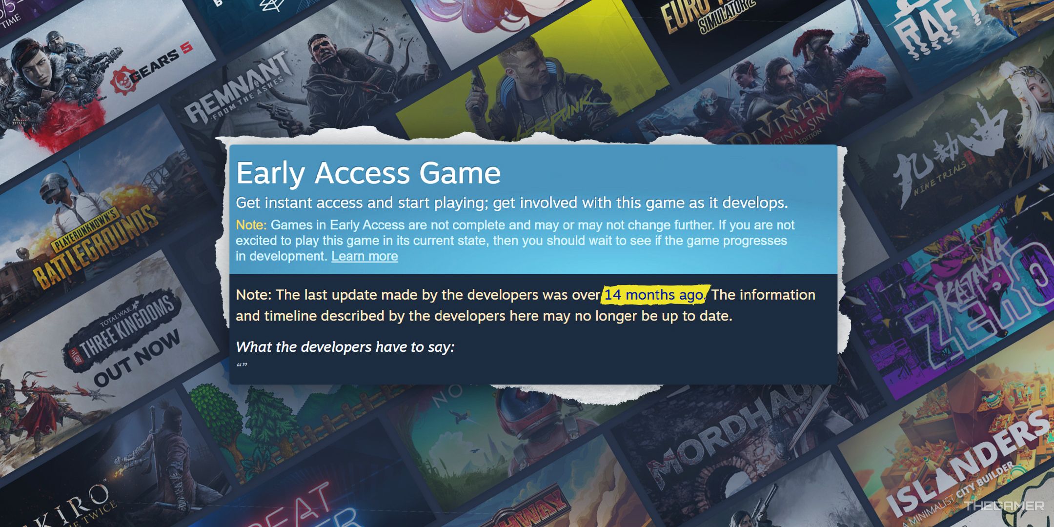 An early access warning on Steam over a library of games.