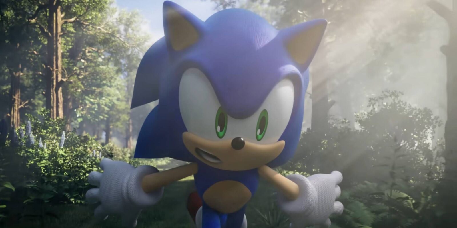 The Sonic Franchise Should Dip its Toes Back into a Genre it's Only Skimmed the Surface Of