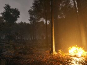 A campfire in a dark forest at twilight