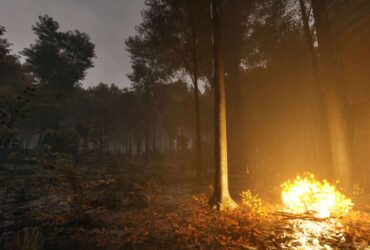 A campfire in a dark forest at twilight