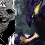 What Happens to Tokoyami After Graduation, Explained