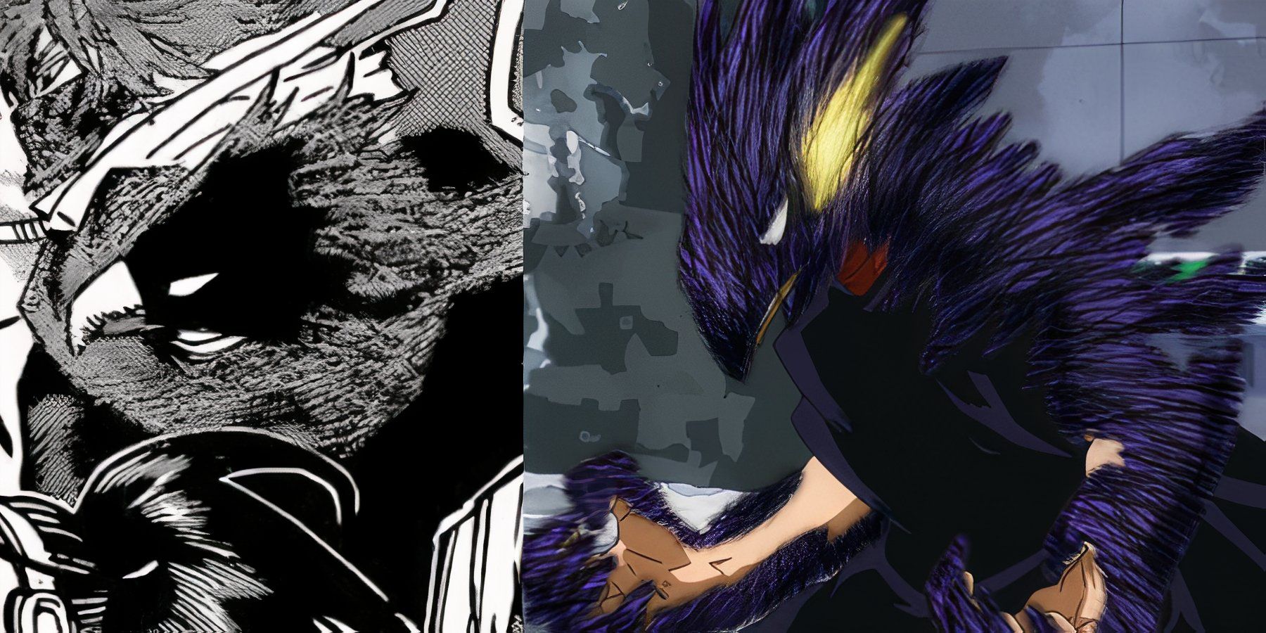 My Hero Academia Tokoyami Fumikage
