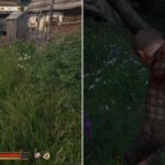 Where To Farm Chamomile In Kingdom Come: Deliverance 2