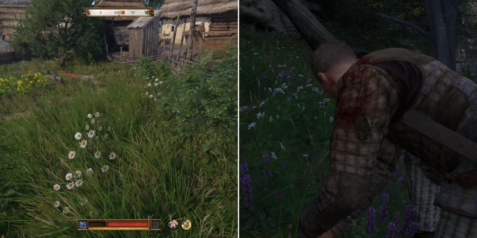 Where To Farm Chamomile In Kingdom Come: Deliverance 2