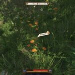 Where To Farm Marigold In Kingdom Come: Deliverance 2