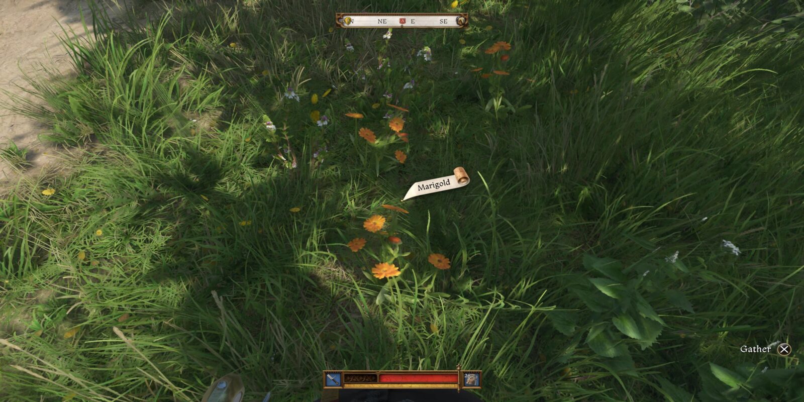 Where To Farm Marigold In Kingdom Come: Deliverance 2