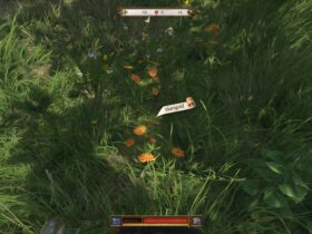 Where To Farm Marigold In Kingdom Come: Deliverance 2