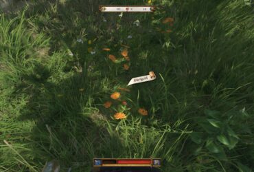 Where To Farm Marigold In Kingdom Come: Deliverance 2