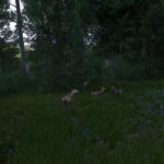 Where To Find Deer Skin In Kingdom Come: Deliverance 2