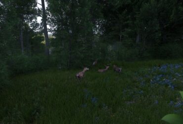 Where To Find Deer Skin In Kingdom Come: Deliverance 2