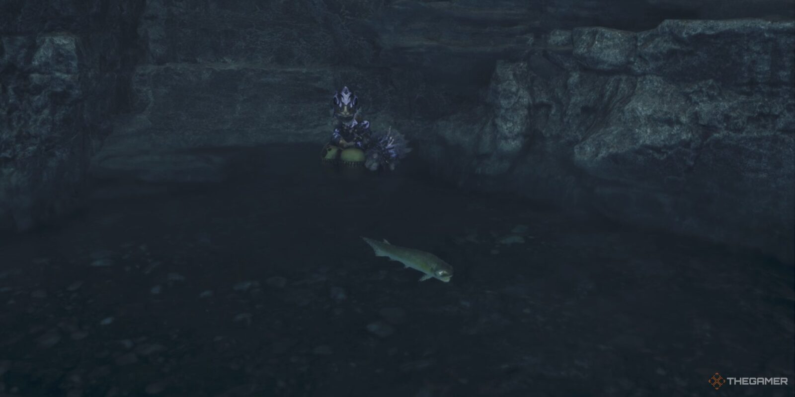 Where To Find Goldenfish In Monster Hunter WIlds