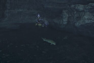 Where To Find Goldenfish In Monster Hunter WIlds