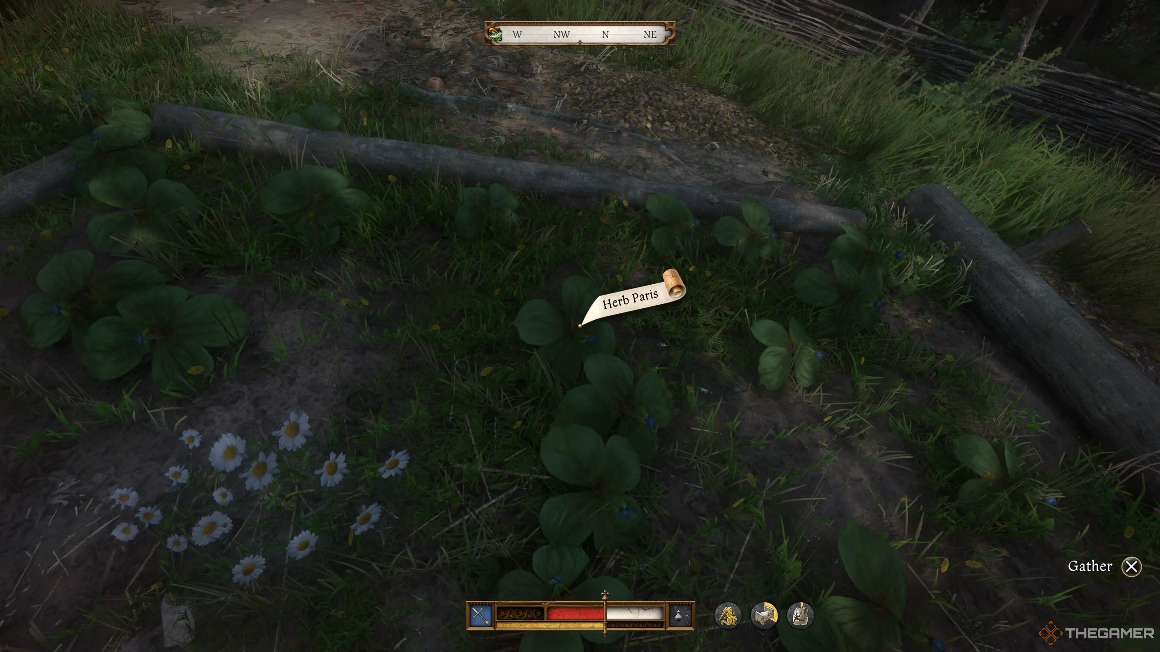 Herb Paris in a garden in Kingdom Come: Deliverance 2.