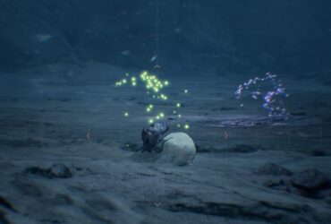 Where To Find Rime Beetles In Monster Hunter Wilds