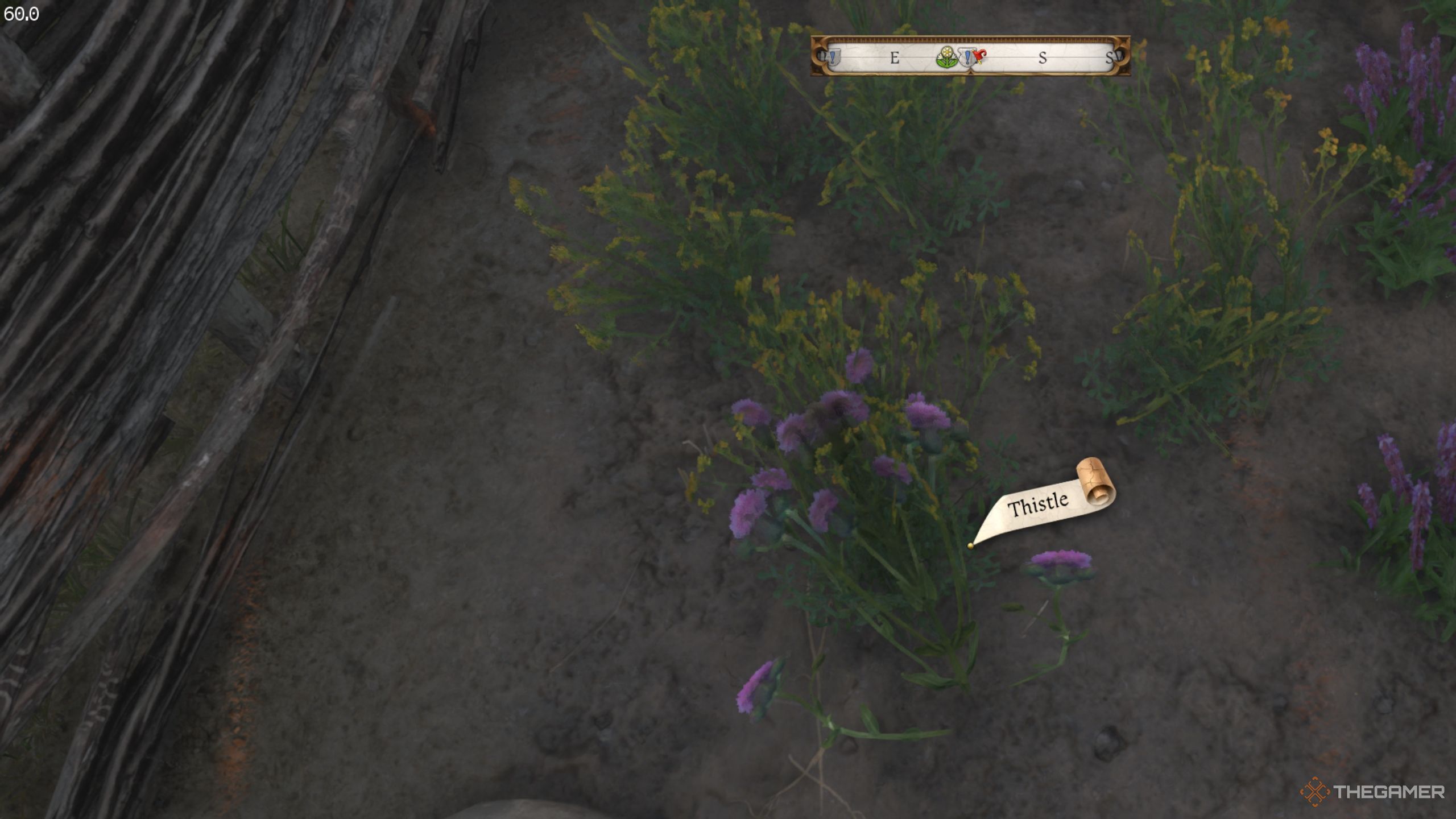 A gameplay screenshot showing a thistle herb in kingdom Come: Deliverance 2. 