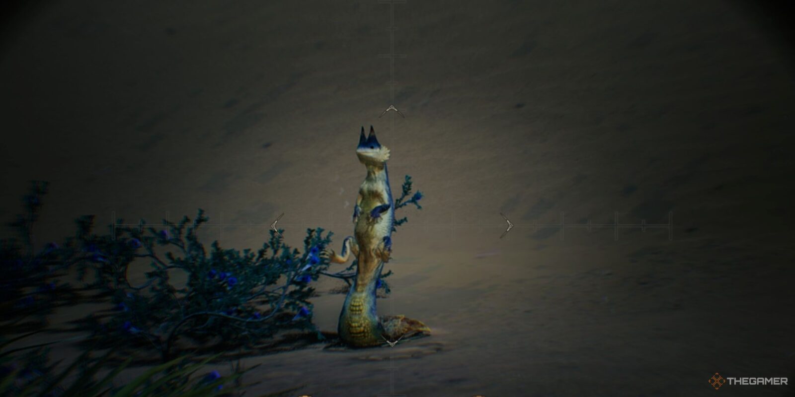 Where To Find Tracktail Lizards In Monster Hunter Wilds