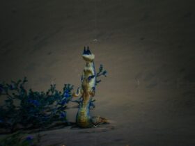 Where To Find Tracktail Lizards In Monster Hunter Wilds