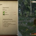Where To Get Potion Recipes In Kingdom Come: Deliverance 2