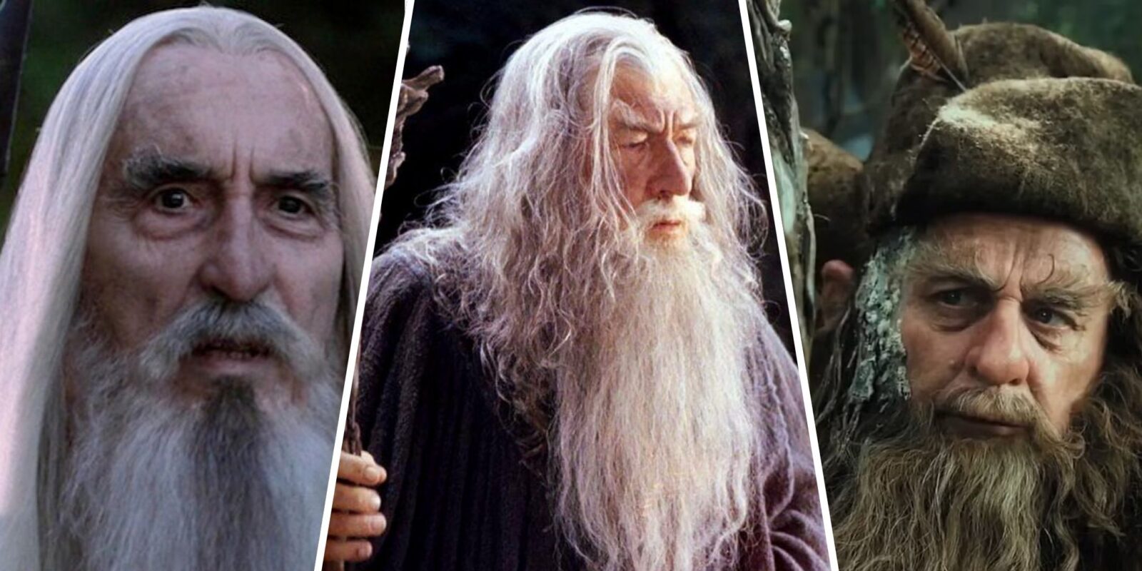 Who Are The Order Of Wizards In Lord Of The Rings?