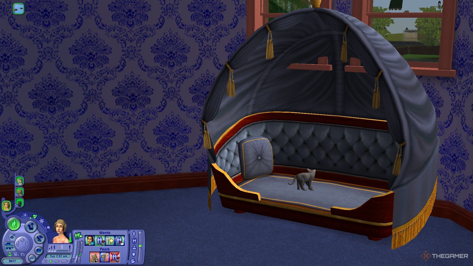 A cat is in a pet bed in The Sims 2.