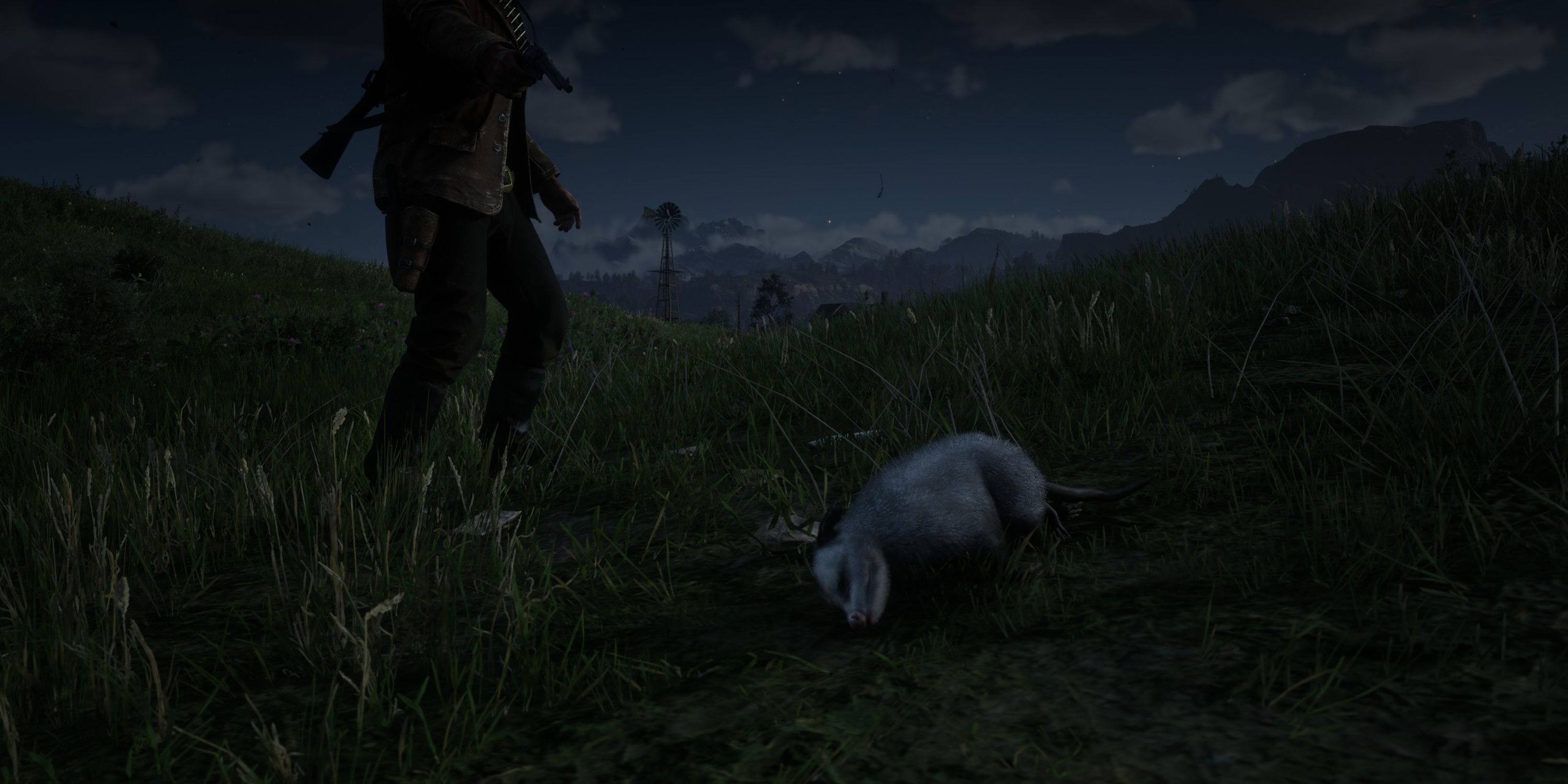 an opossum playing possom