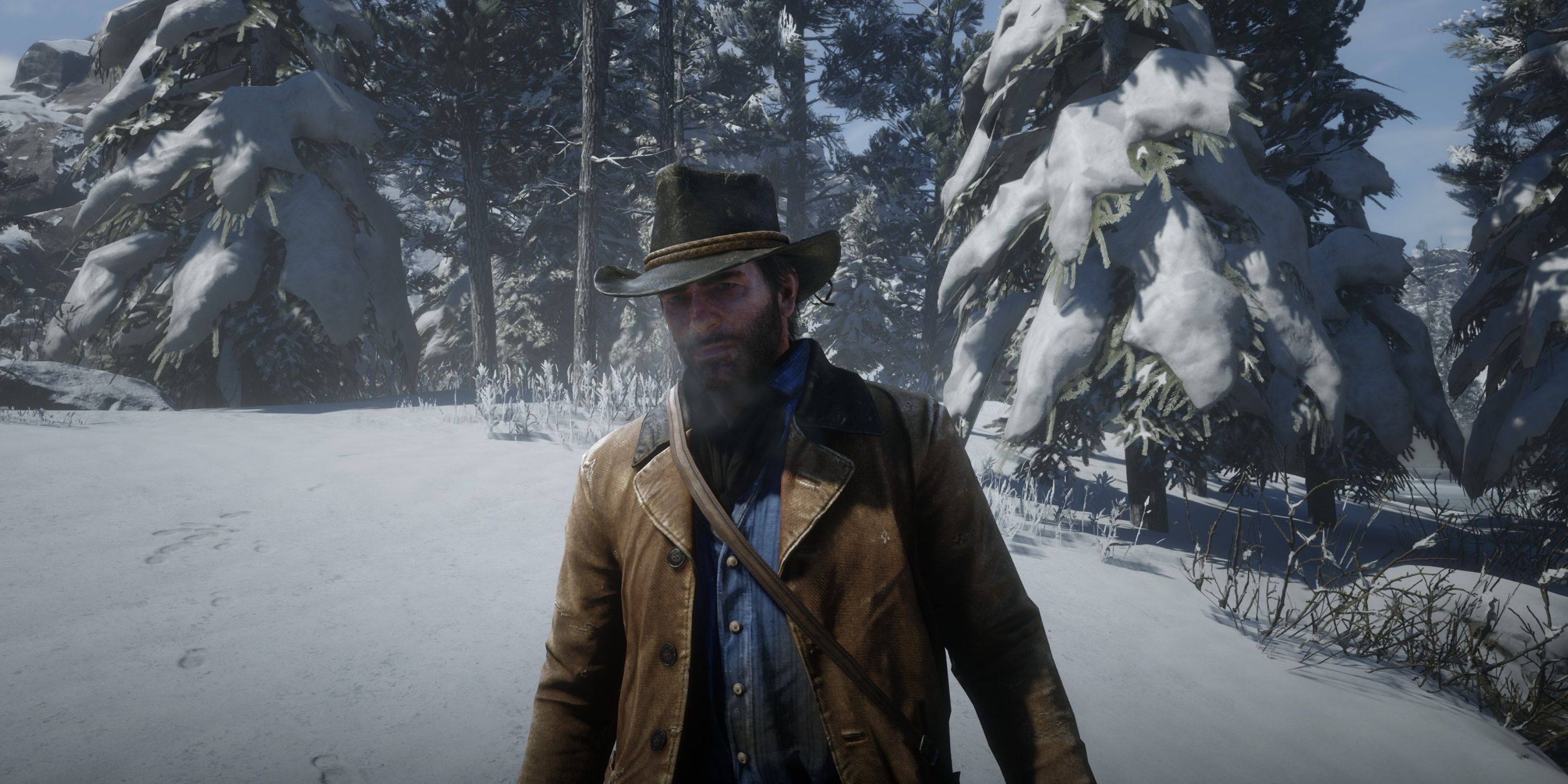 arthur morgan in the cold