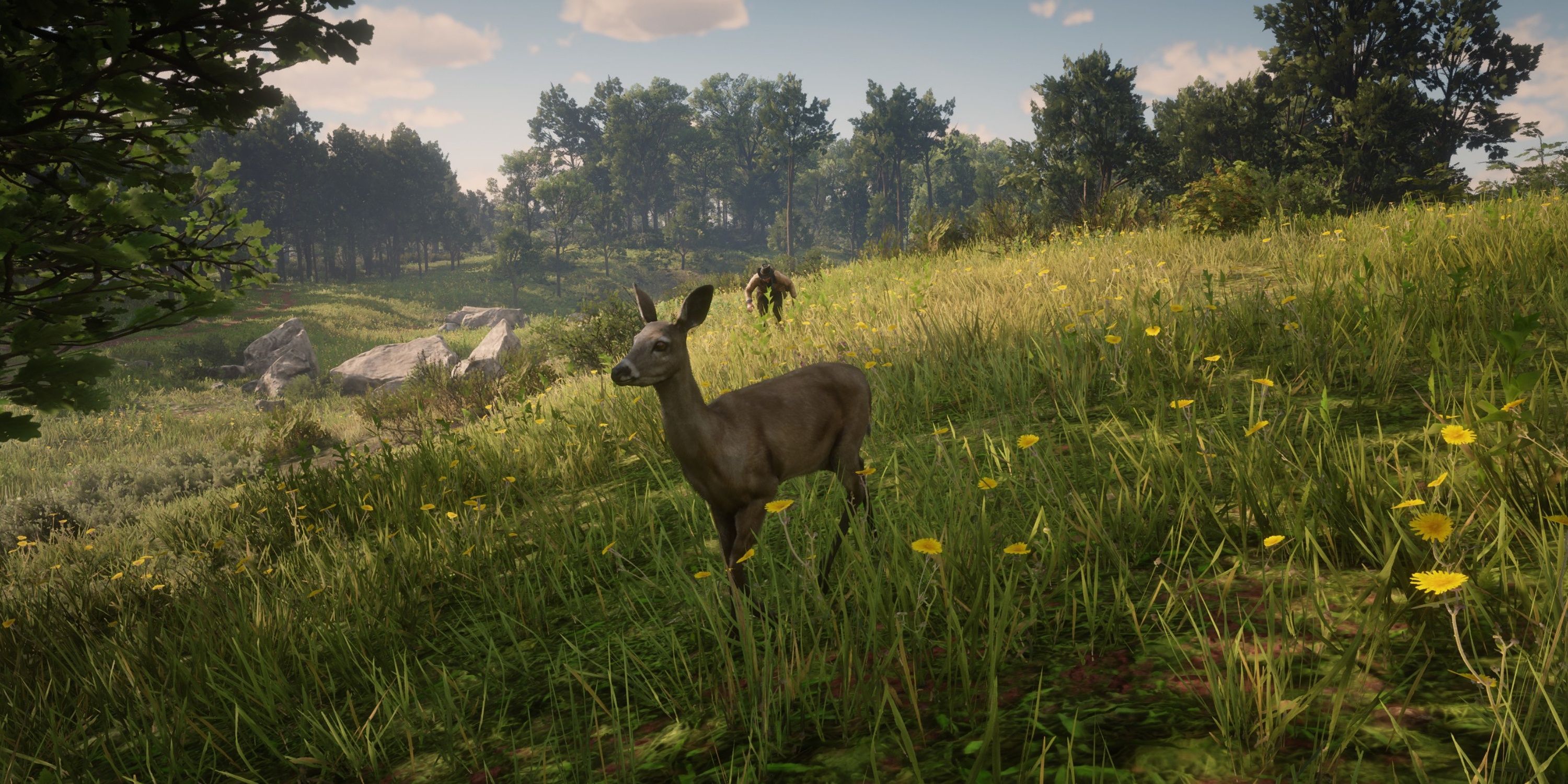 arthur sneaks up on a deer